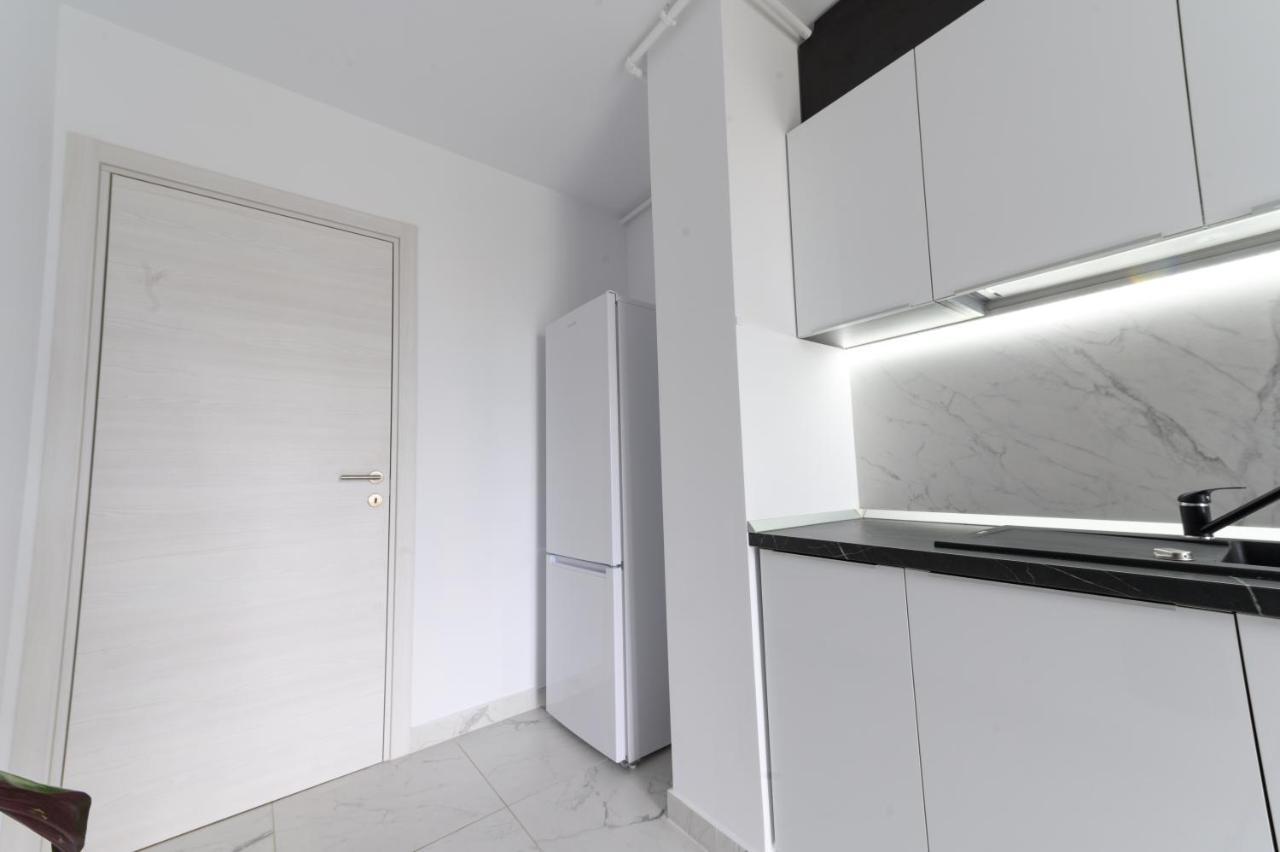 North Artistique - Aviatiei Apartment Bucureşti Ngoại thất bức ảnh